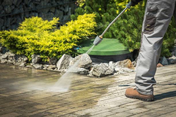 Best Pre-Holiday Cleaning  in Midlothian, IL