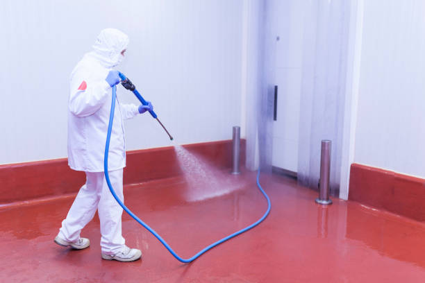Best Graffiti Removal  in Midlothian, IL